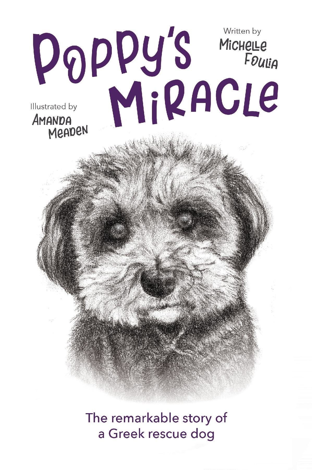 Poppy's Miracle – A Therapeutic Story About ADHD, Neurodiversity & Finding Your Gift