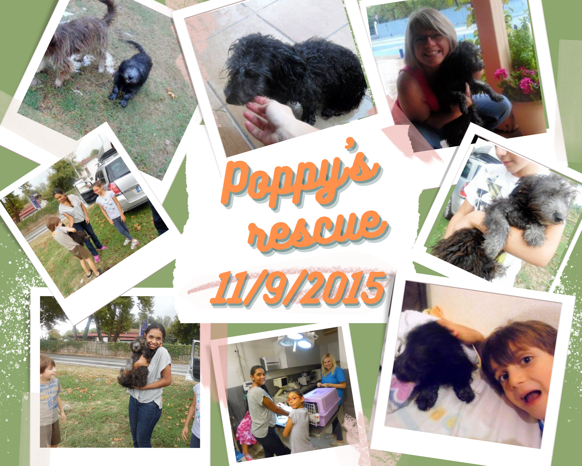 Poppy's Miracle – A Therapeutic Story About ADHD, Neurodiversity & Finding Your Gift