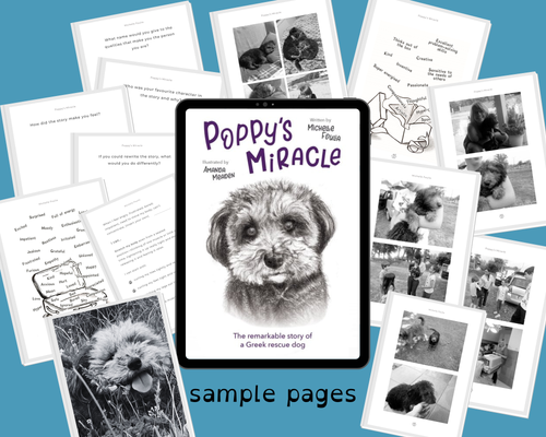 Poppy's Miracle – A Therapeutic Story About ADHD, Neurodiversity & Finding Your Gift